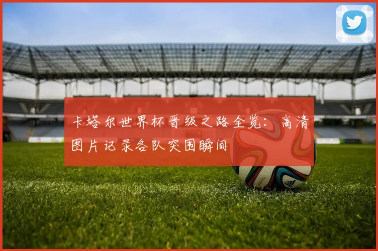 卡塔尔世界杯晋级之路全览：高清图片记录各队突围瞬间